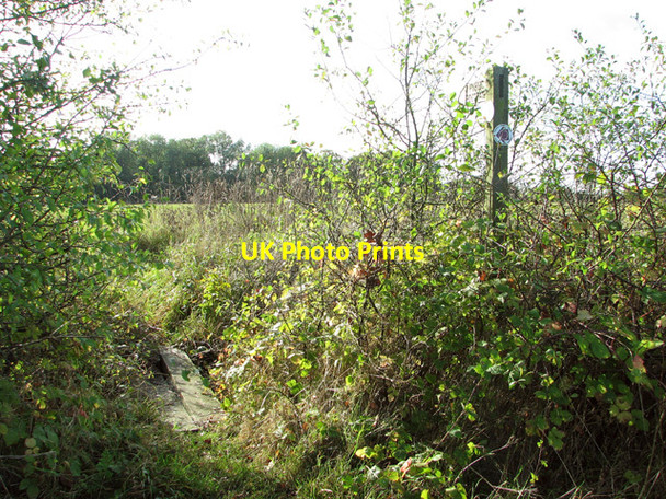 Photo 6"x4" Footpath to Woodhouse Farm Saxlingham Nethergate c2014