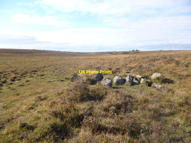Photo 6"x4" Bramshaw, concrete remains Fritham c2014
