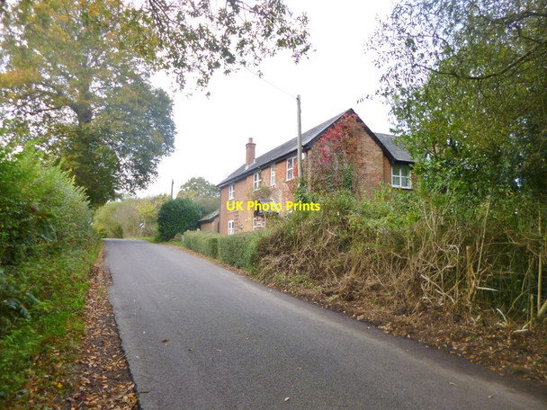 Photo 6"x4" Nomansland, Ivy Cottage Nomansland\/SU2517 c2014