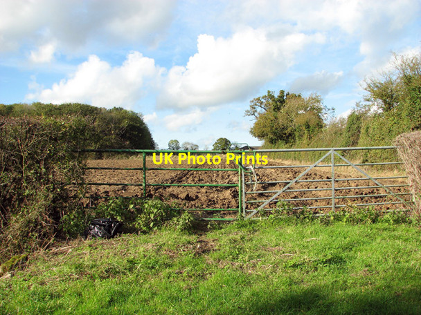 Photo 6"x4" Field gate by Monk's Farm Newton Flotman c2014