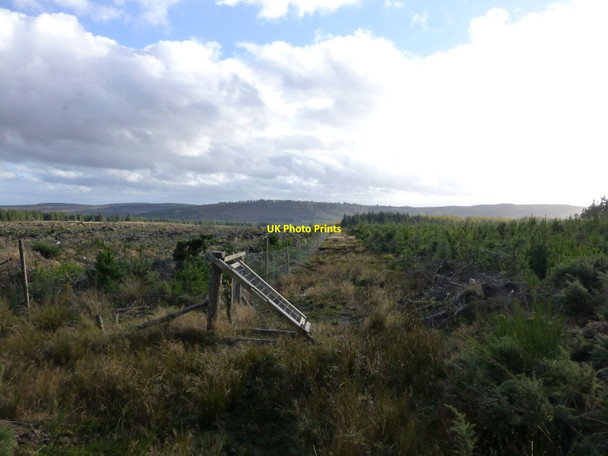 Photo 6"x4" Fire-break between forest sections Thrunton c2014