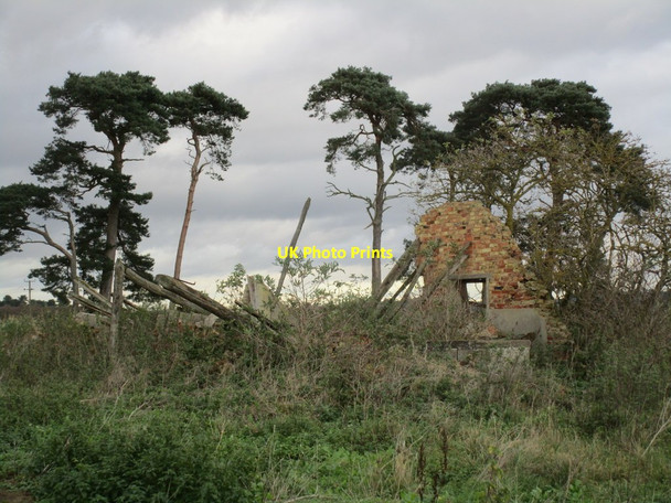 Photo 6"x4" Duck Nest South Cliffe c2014