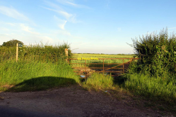 Photo 6"x4" Bridleway to Baulking Fernham\/SU2991 c2014