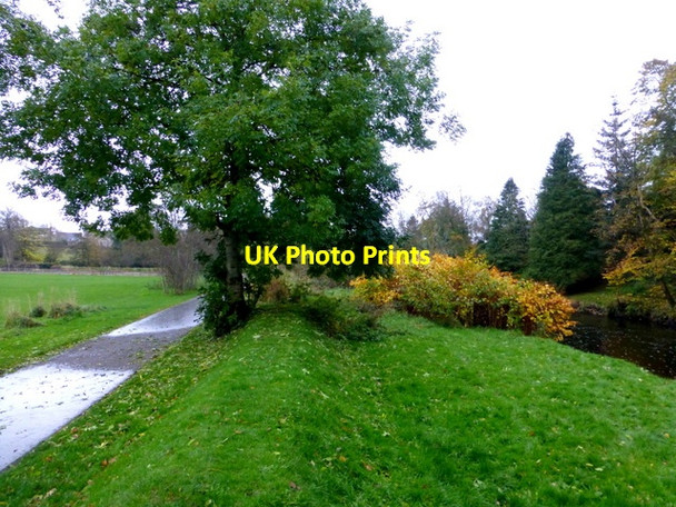 Photo 6"x4" A wet morning along the Highway to Health path Omagh c2014