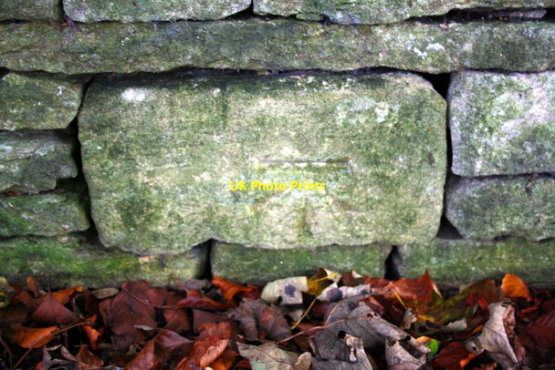 Photo 6"x4" Benchmark on wall near Blenheim Palace Woodstock\/SP4416 c2014