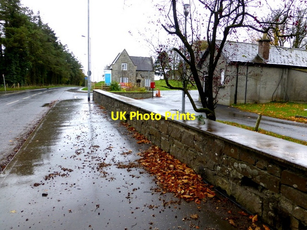 Photo 6"x4" Fallen leaves along Donaghanie Road, Cranny Omagh c2014
