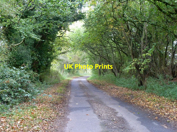Photo 6"x4" Lane west of Cole Henley Cole Henley c2014