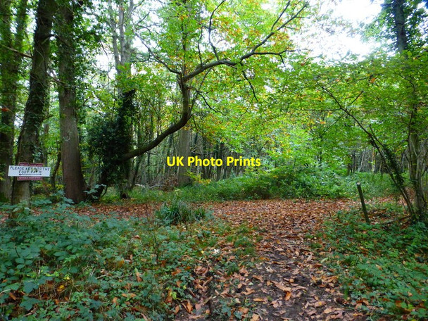Photo 6"x4" Junction of footpath and track in Place Wood Southwick\/SU6208 c2014
