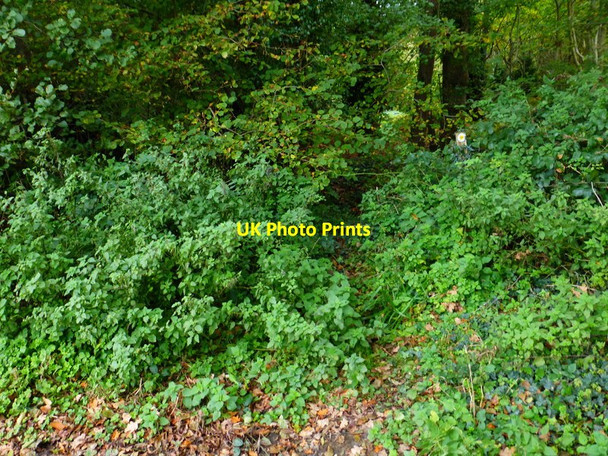 Photo 6"x4" Confusing waymark for footpath Furzeley Corner c2014