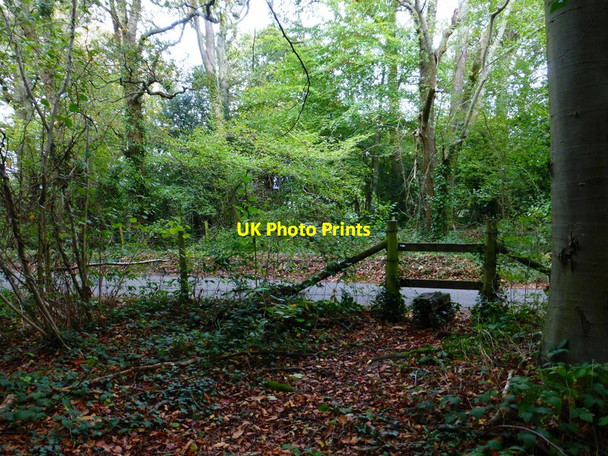 Photo 6"x4" Footpath reaches Ham Road Boarhunt c2014