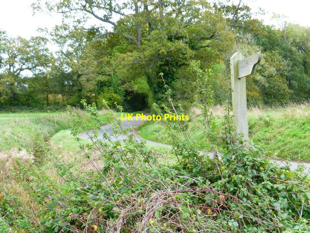 Photo 6"x4" Field path arrives at Ham Road Boarhunt c2014