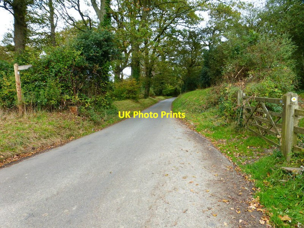 Photo 6"x4" Looking north on Ashley Down Lane from footpath junction Boarhunt c2014