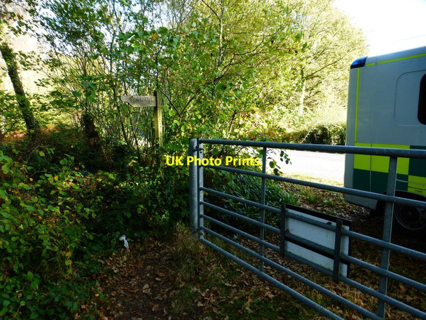 Photo 6"x4" Footpath emerges from Creech Woods at road Furzeley Corner c2014