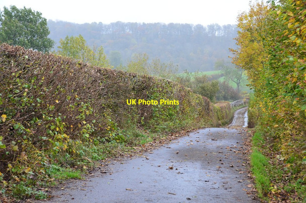 Photo 6"x4" Tarn Lane, Crosby Garrett Crosby Garrett c2014