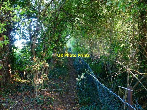 Photo 6"x4" Footpath goes east from Broadway Lane Eastland Gate c2014