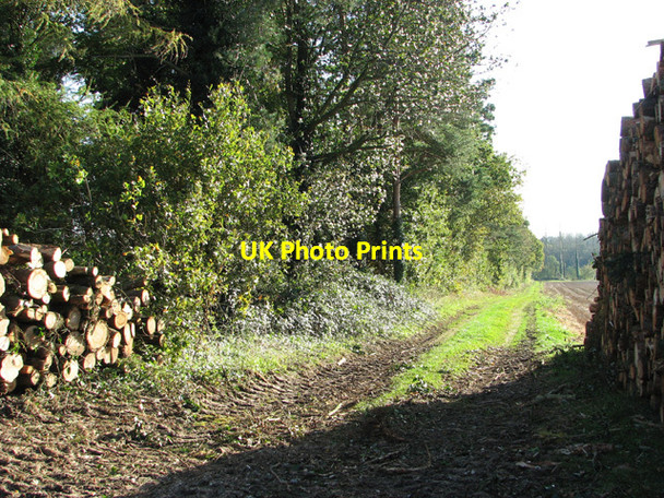 Photo 6"x4" Farm track past Priory Belt Litcham c2014