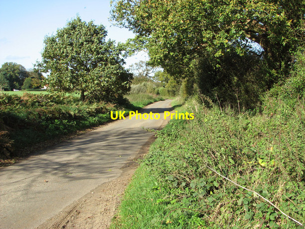 Photo 6"x4" Rural road to Rougham Rougham\/TF8320 c2014