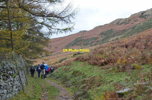 Photo 6"x4" Path on north side of Haweswater Bampton\/NY5118 c2014
