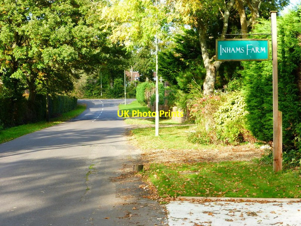 Photo 6"x4" The northern end of Inhams Lane Anthill Common c2014