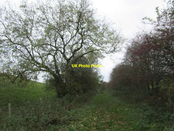 Photo 6"x4" Dale Road Sancton c2014
