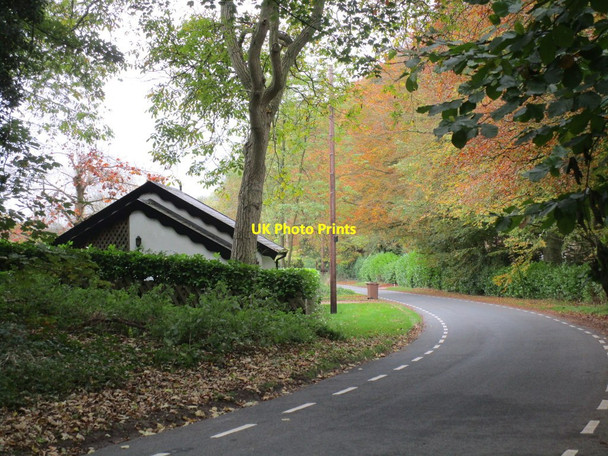 Photo 6"x4" Elloughton Dale Brantingham c2014
