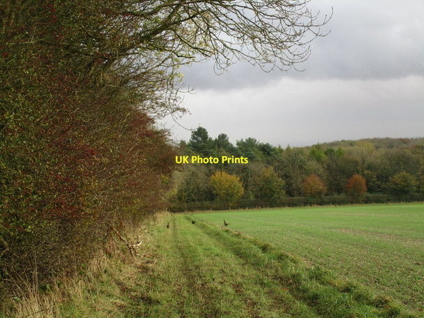 Photo 6"x4" Above Welton Dale Welton\/SE9627 c2014