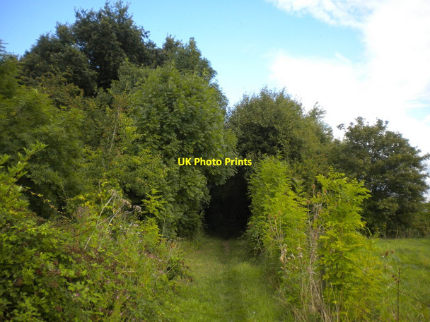 Photo 6"x4" Bridleway east of Gonalston (5) Gonalston c2014