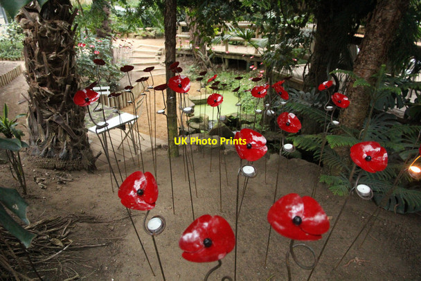Photo 6"x4" Lest We Forget Lincoln c2014