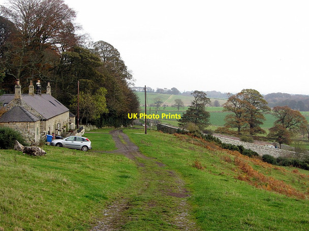 Photo 6"x4" Track west of East Shaftoe Hall Bolam West Houses c2014