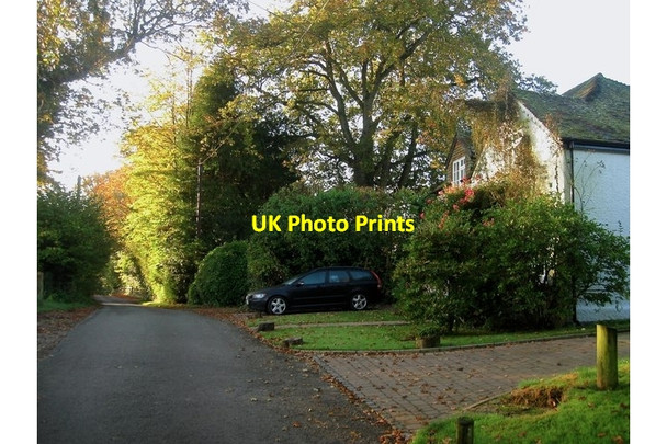 Photo 6"x4" Little Wyllies, Deak's Lane Ansty\/TQ2923 c2014