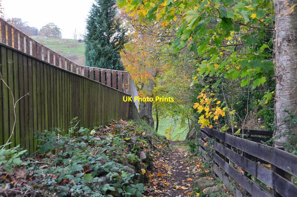 Photo 6"x4" Path to the Ale Water, Ancrum Ancrum c2014