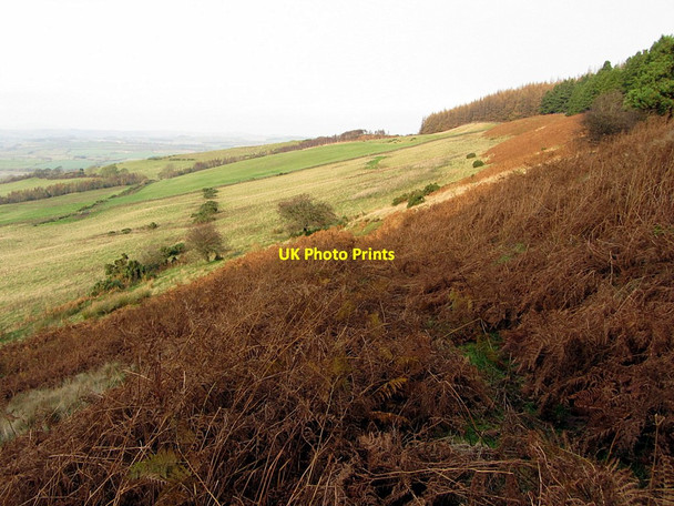 Photo 6"x4" Hillside near Chester Hope Great Tosson c2014