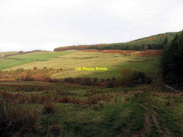 Photo 6"x4" Chester Hope Great Tosson c2014