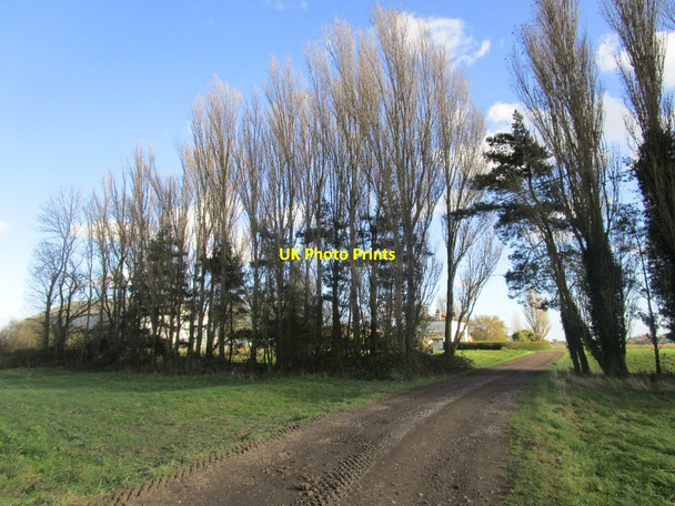 Photo 6"x4" Windbreak and Copperhall Farm Brigham\/TA0753 c2014