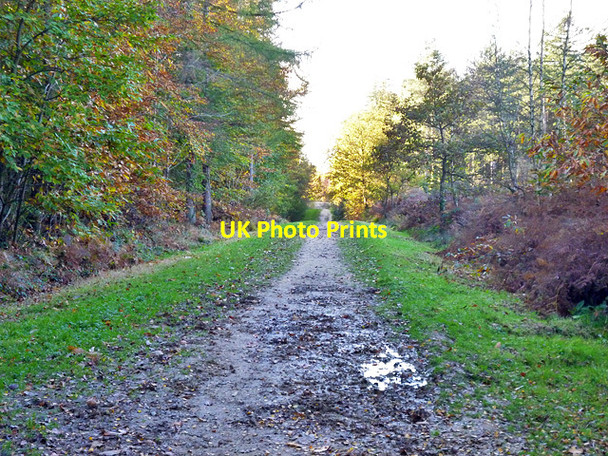 Photo 6"x4" Muddy ride, Battle Great Wood Telham c2014