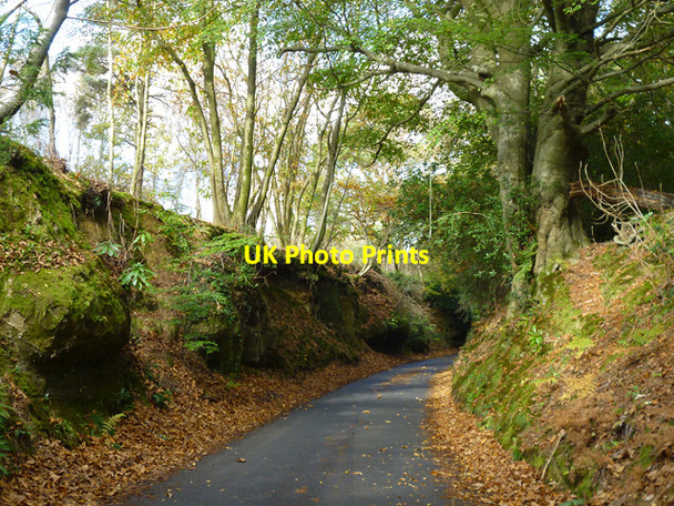 Photo 6"x4" Freckley Hollow Catsfield Stream c2014