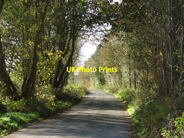 Photo 6"x4" Rural road past Rudham Common Little Massingham c2014