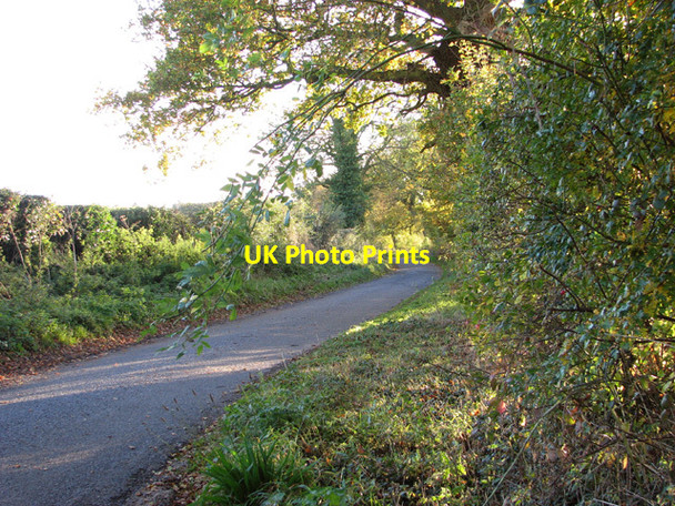 Photo 6"x4" Rural lane to Rougham Rougham\/TF8320 c2014