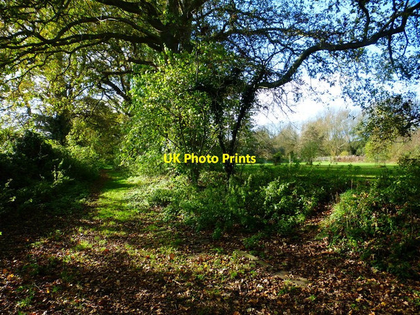 Photo 6"x4" Footpath going west to the west of The Fishery Stratfield Turgis c2014
