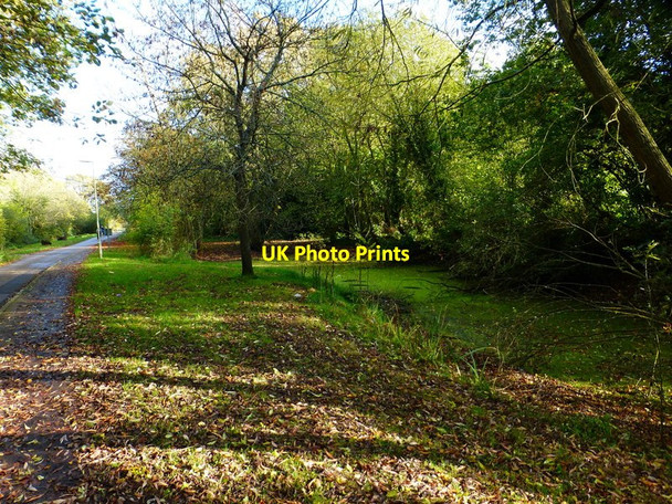 Photo 6"x4" Pond on Lane End Bramley Green c2014