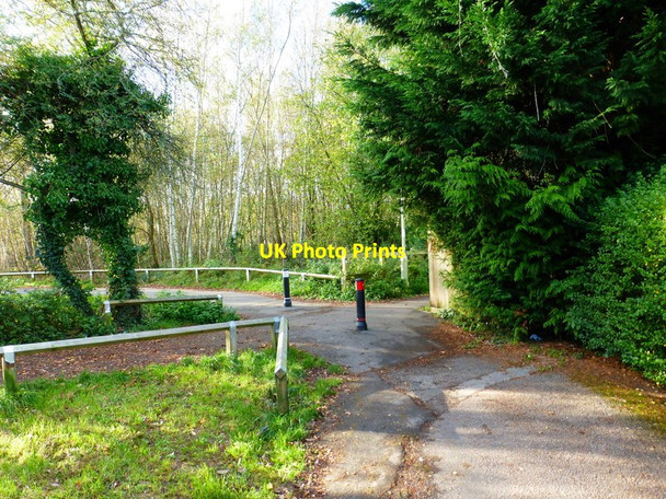 Photo 6"x4" The end of Lane End and a crossing of paths Bramley\/SU6559 c2014