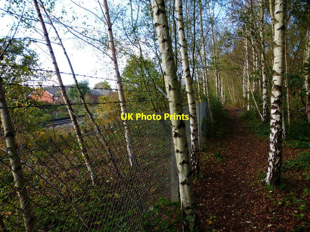 Photo 6"x4" Footpath going north by railway line Bramley\/SU6559 c2014