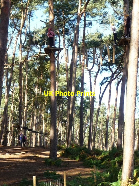 Photo 6"x4" Suspended logs on the aerial walkway, Center Parcs Steppingley c2014
