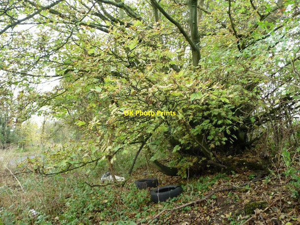 Photo 6"x4" Fly-tipping alongside Hexton Road Hexton c2014