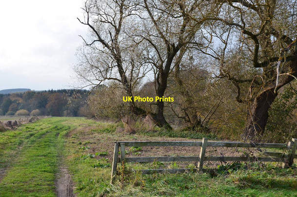 Photo 6"x4" Path by the Teviot near Lanton Mill Newton\/NT6020 c2014