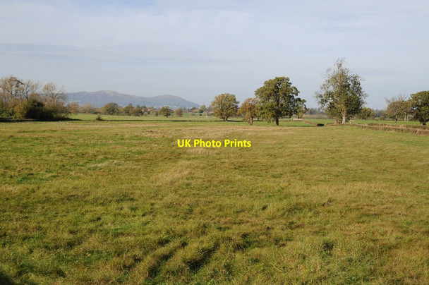 Photo 6"x4" Meadowland at Upton upon Severn Upton upon Severn c2014