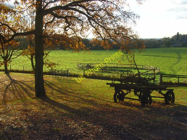 Photo 6"x4" Pasture, old machinery and oak tree, Knowl Hill Knowl Hill\/SU8279 c2008