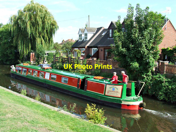 Photo 6"x4" Dandelion on the Grand Union Canal Loughborough c2014