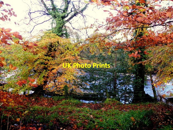 Photo 6"x4" Autumnal colours, Drumnabey Castlederg c2014