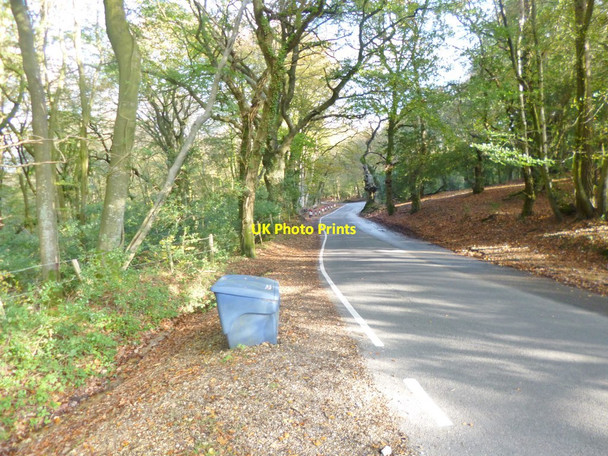 Photo 6"x4" Nomansland, hill Nomansland\/SU2517 c2014